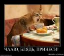 Фотография Дарья Баскакова