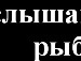 Алексей Куприянов фотография #20