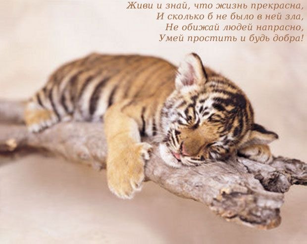 Наталья Карпова | Санкт-Петербург