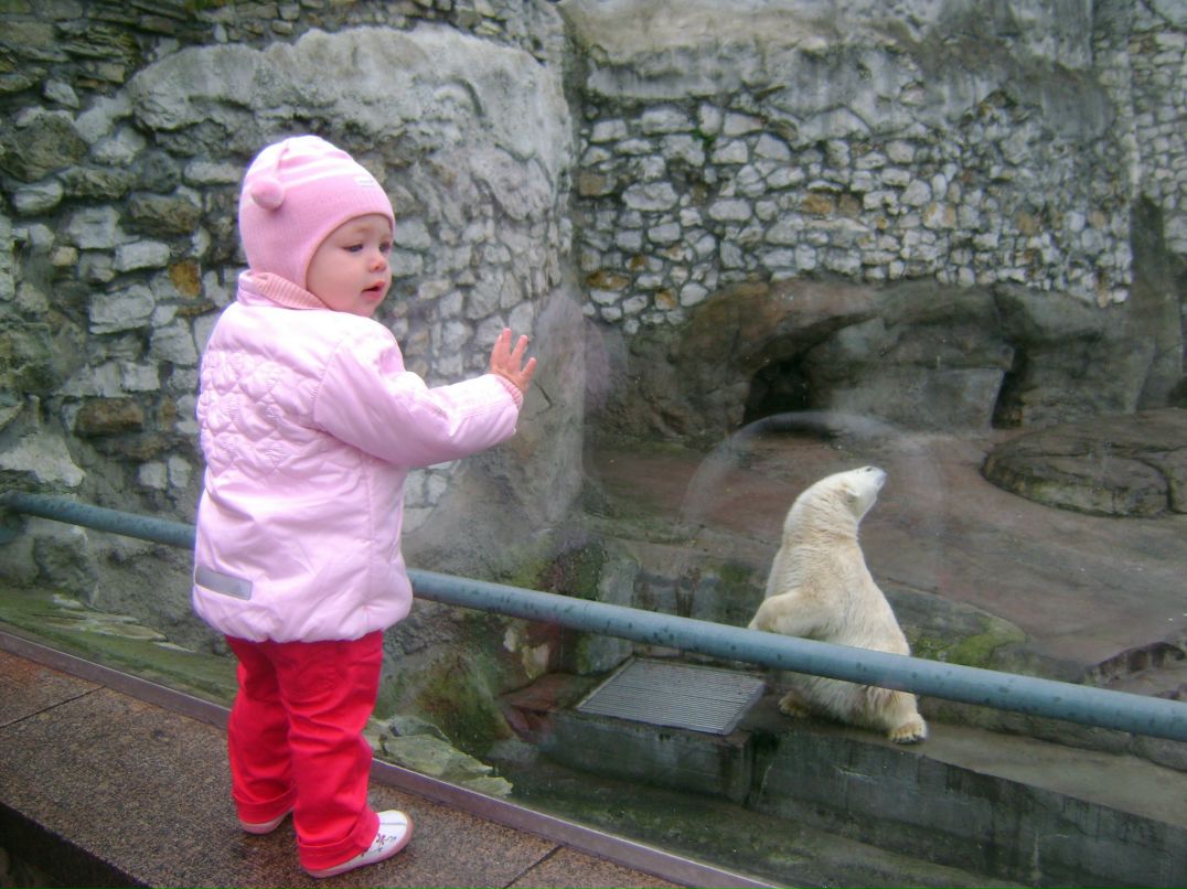 Максим Самжилин | Москва