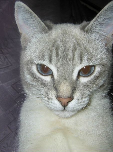 №21, Иван Проскурня, Омск №21, Иван Проскурня, Омск