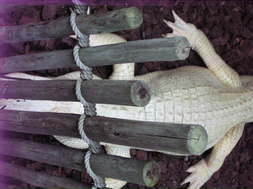 Владимир Польшаков | Одесса