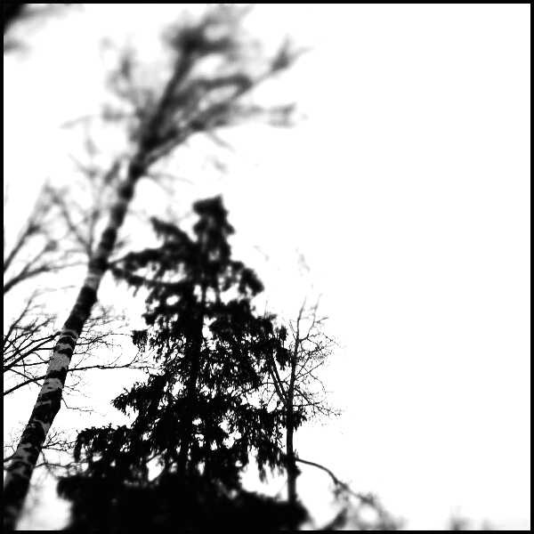 №121, Андрей Карамнов, 38 лет, Москва №121, Андрей Карамнов, 38 лет, Москва