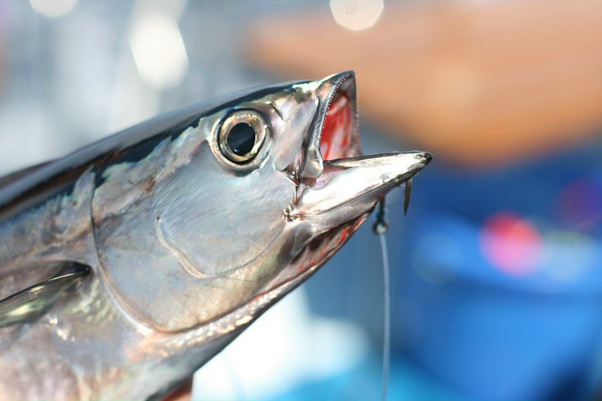 Рената Санникова | Ижевск