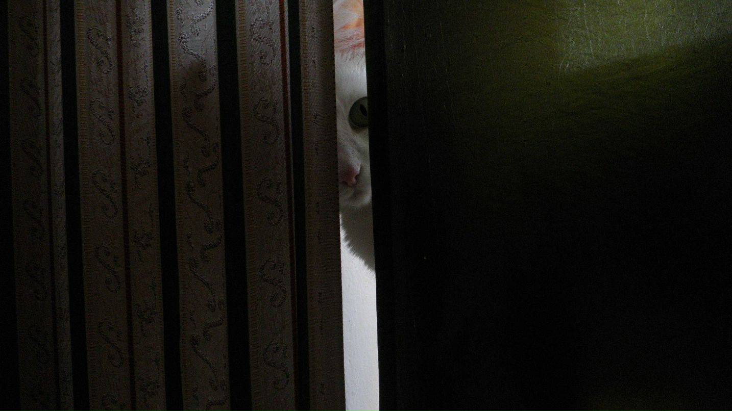 Юлия Сокол | Москва