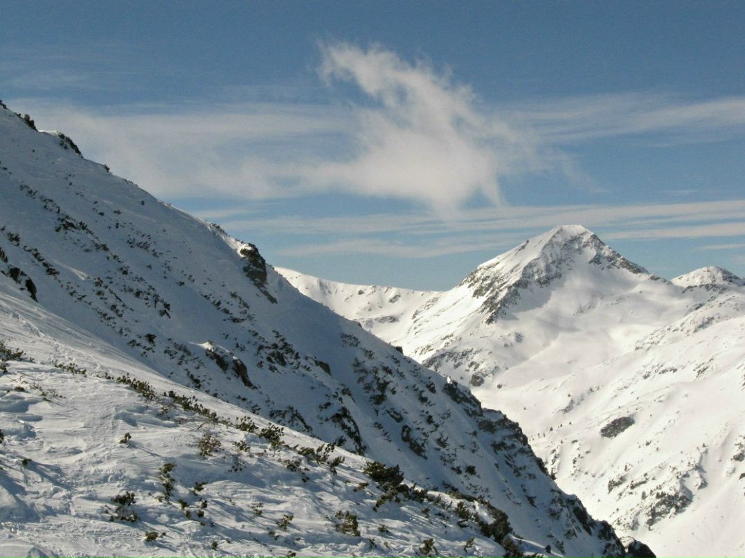 Mary Vtulkina *violet* | Люберцы