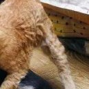 №4, Ольга Колесникова, Серов №4, Ольга Колесникова, Серов