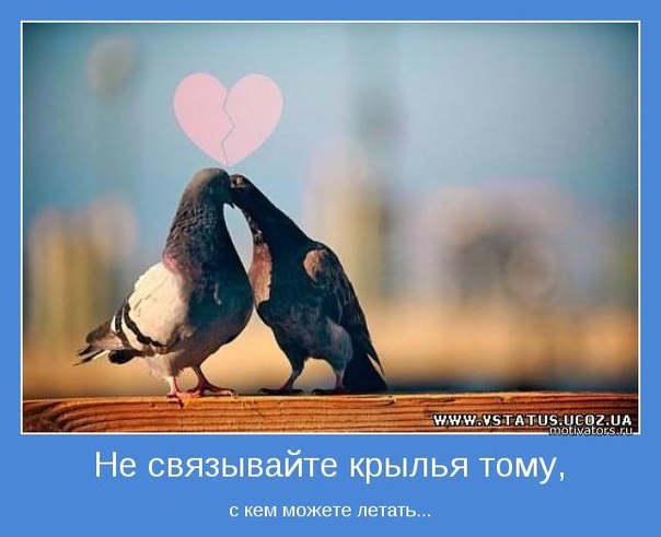 Михаил Васильев (Mike RA) | 