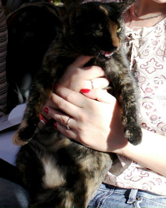 Александр Гуцал kot | Санкт-Петербург