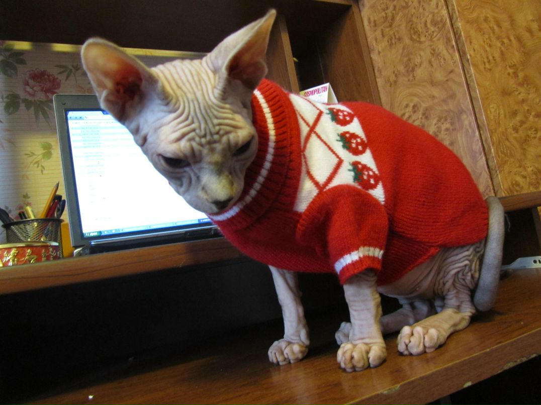 Елена Муковнина | Одинцово