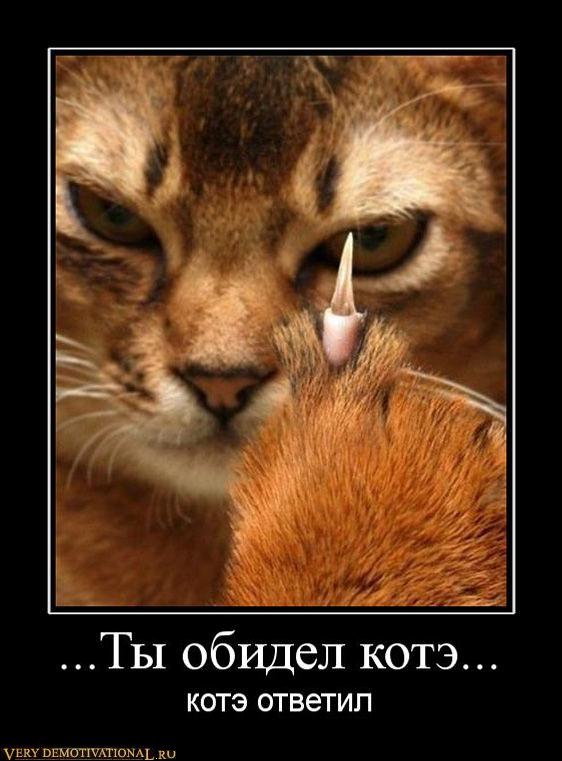 Стас Алфёров | Berlin