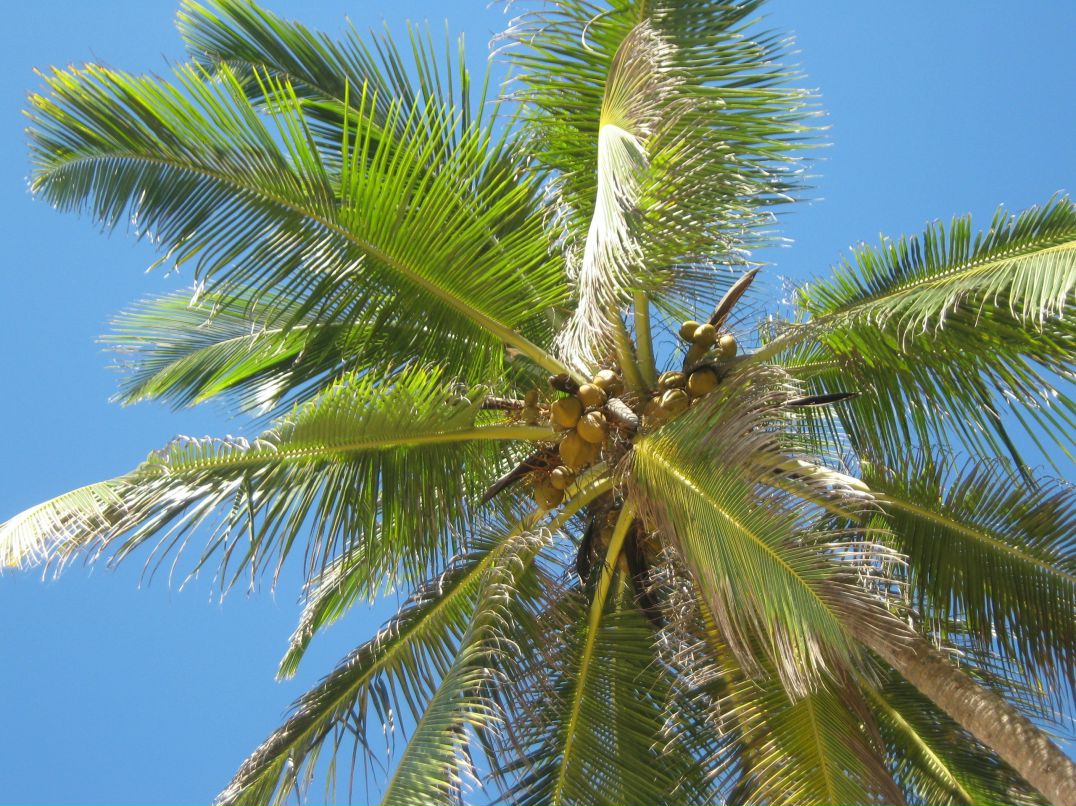 Ольга Панчук ⎝⏠⏝⏠⎠ | Днепр (Днепропетровск)