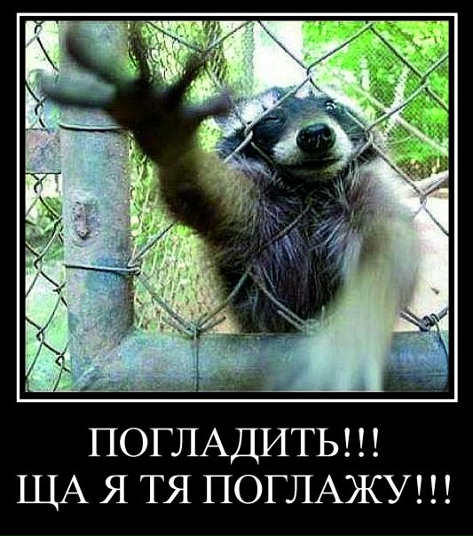 №103, Яна Дмитриева, 124 года, Днепр (Днепропетровск) №103, Яна Дмитриева, 124 года, Днепр (Днепропетровск)