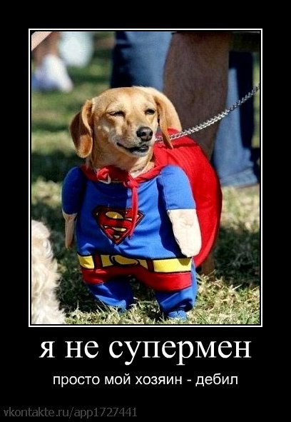 Васиф Мовсумзаде | Magdeburg