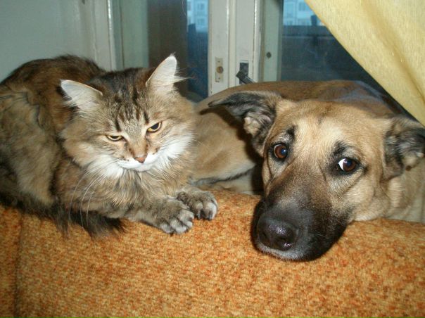 №98, Наталья Полева, Санкт-Петербург №98, Наталья Полева, Санкт-Петербург