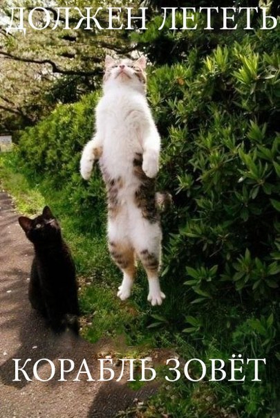 Павел Уренцев | Ухта