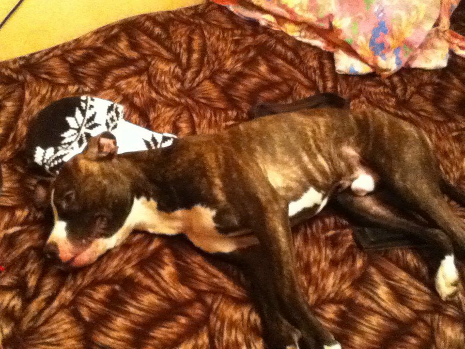 Kat Kan пил и пил | Санкт-Петербург