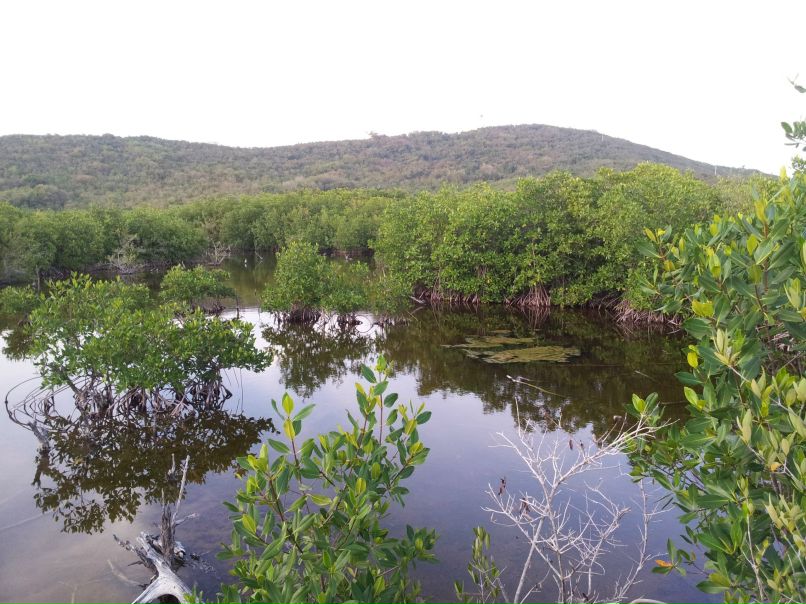 Сергей Хоренко (Zhorik, Malish) | New York City