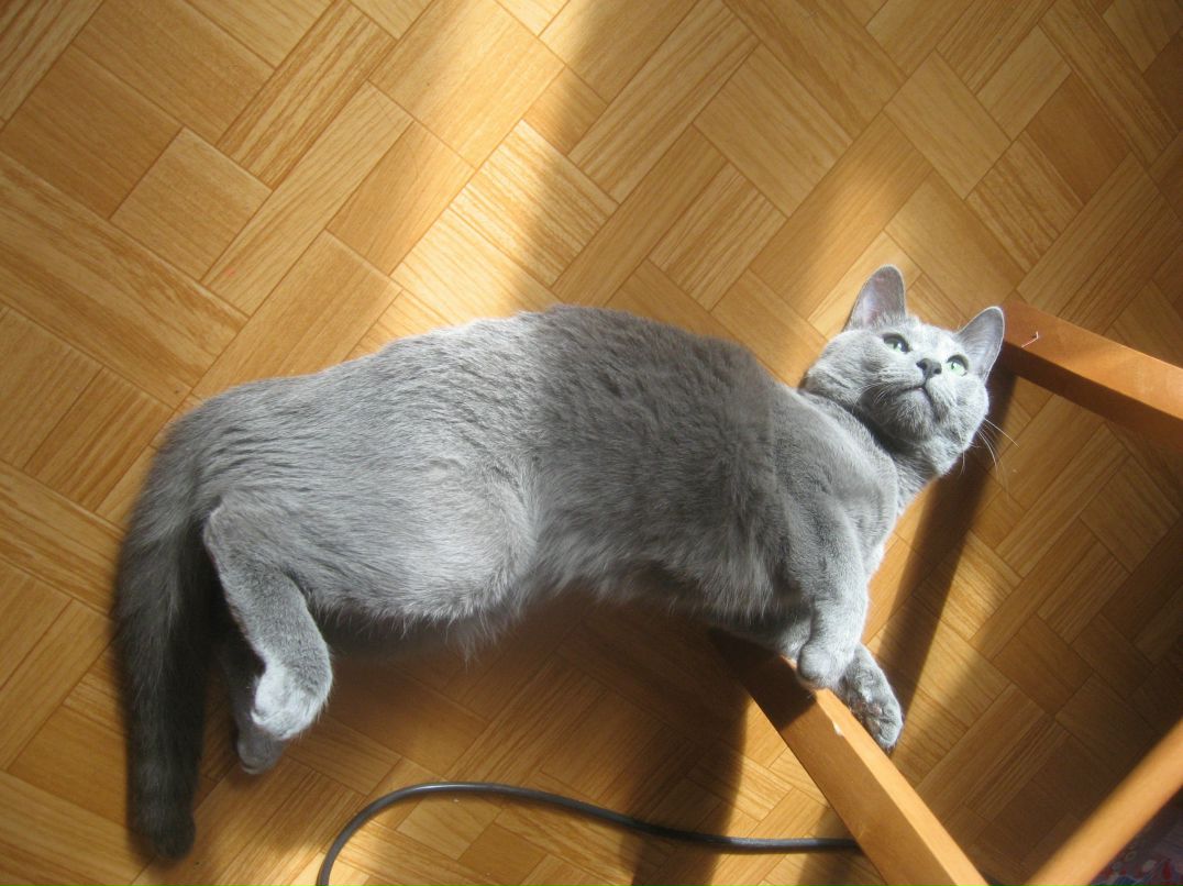 Татьяна Доброва | Санкт-Петербург