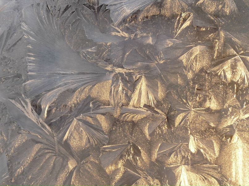 Валерия Яворская | 