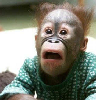 №117, Миша Прошкин, 36 лет, Тула №117, Миша Прошкин, 36 лет, Тула