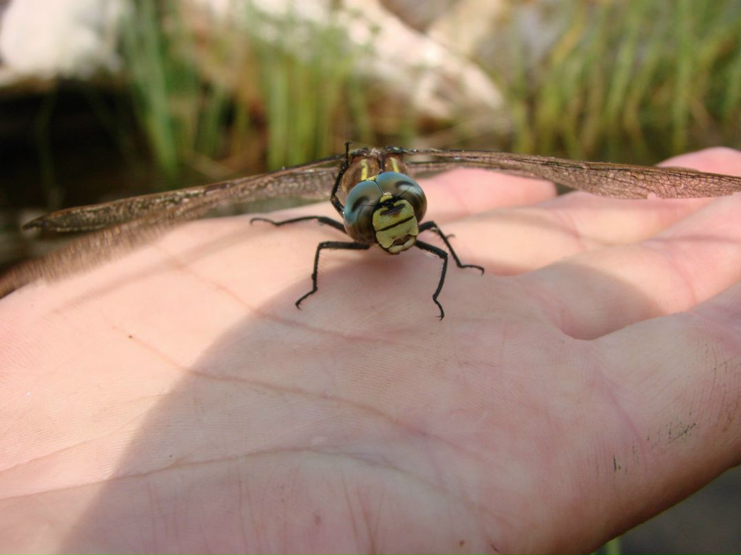 Евгений Осипов | Петрозаводск