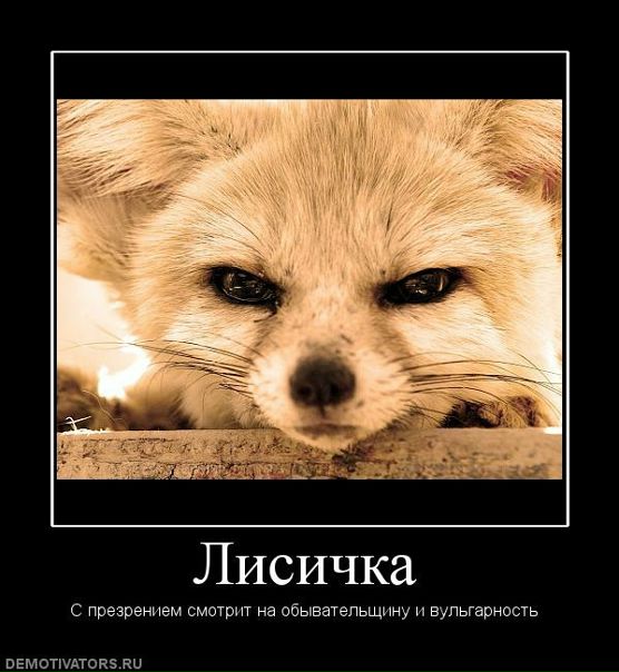 №123, Владислав Хруцкий, 44 года, Санкт-Петербург №123, Владислав Хруцкий, 44 года, Санкт-Петербург