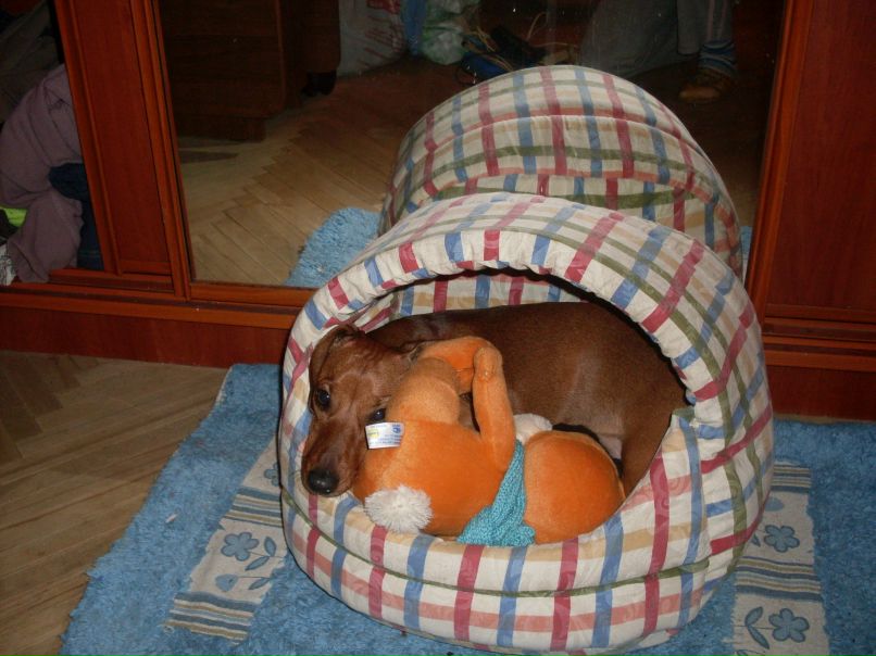 Женя Фомин | Санкт-Петербург