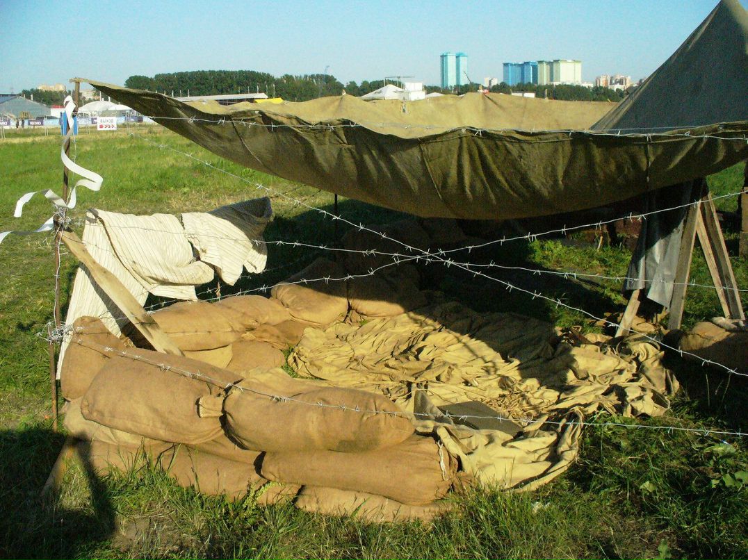 Станислав Карев | Дмитров