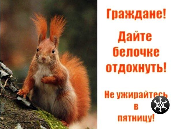 Изабелла Соломатина | Санкт-Петербург