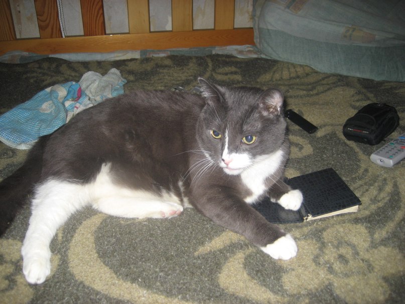 Максим Сафонов | Москва