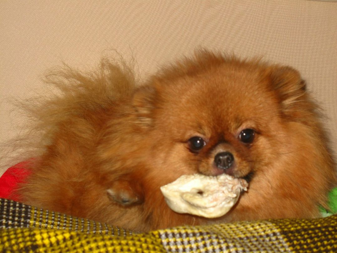 Марина Шушункова | Одесса