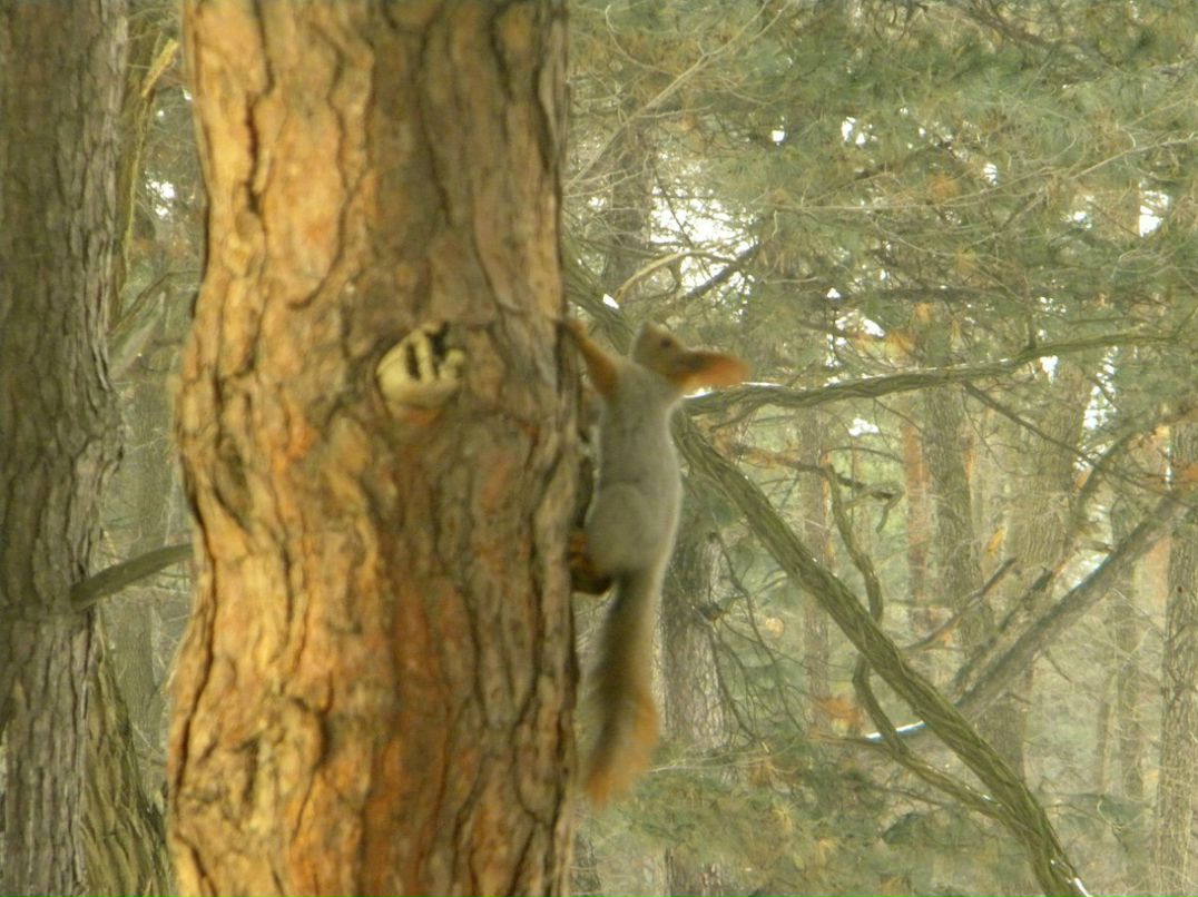 Екатерина Опря | Днепр (Днепропетровск)