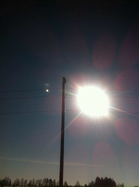 №139, Мария Медюк, Красноярск, Россия №139, Мария Медюк, Красноярск, Россия