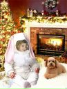 Фотография Эльвира Инновна
