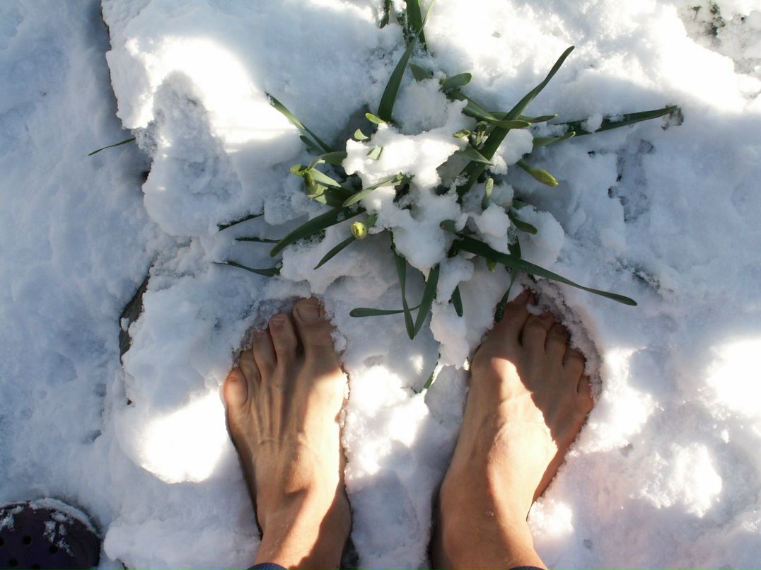 Сергей Ковалёв | Житомир