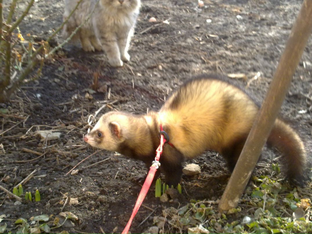 Лидия Александровна px | 