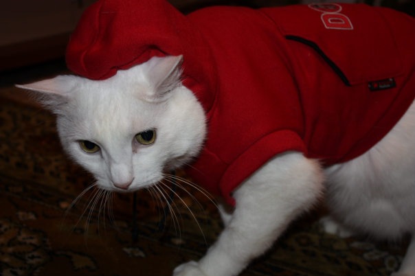 №129, Рина Озерова, Санкт-Петербург, Россия №129, Рина Озерова, Санкт-Петербург, Россия