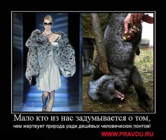 Екатерина Жигарева | Москва