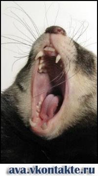 №33, Илья Серебряков, 41 год, Москва №33, Илья Серебряков, 41 год, Москва