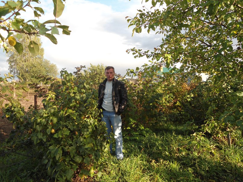 Ренат Галиахметов | Шемордан