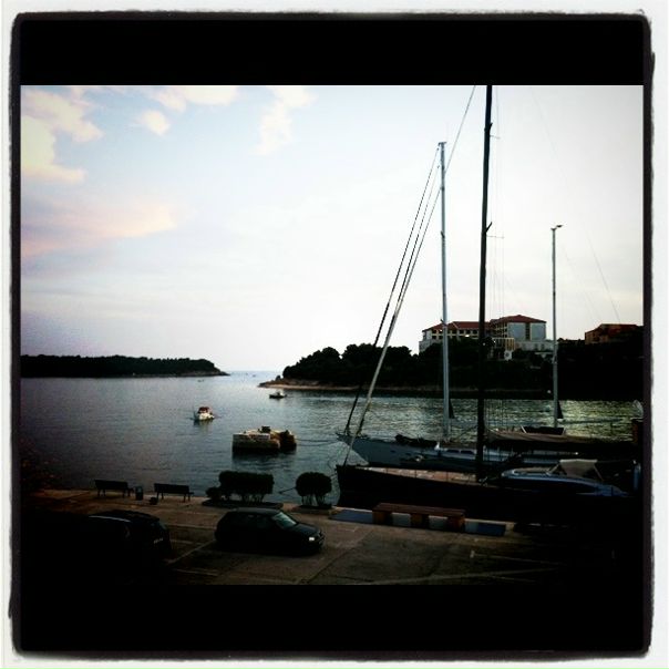 №3, Григорий Васинкевич №3, Григорий Васинкевич