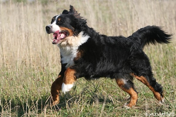 №32, Юлия Лабунская, Москва №32, Юлия Лабунская, Москва