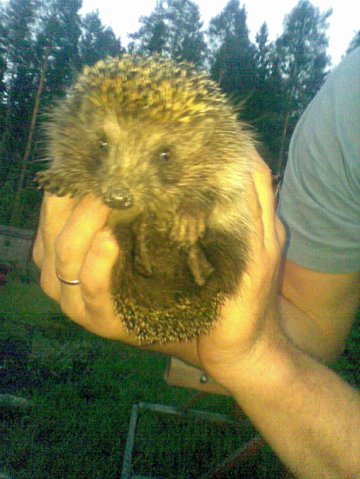 №112, Валентина Оленская, 46 лет, Санкт-Петербург №112, Валентина Оленская, 46 лет, Санкт-Петербург