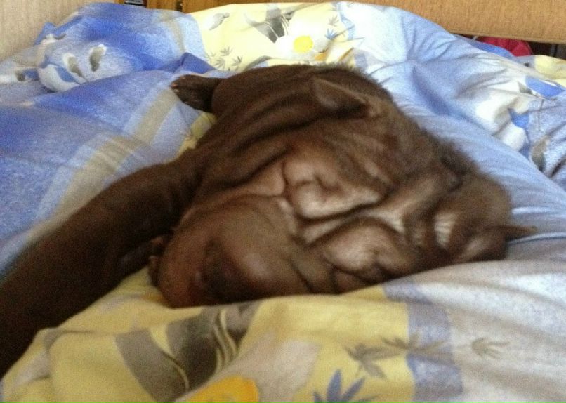 Олеся Лобанова | Тюмень