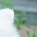 №54, Наталья Раджабова, 52 года, Беломорск №54, Наталья Раджабова, 52 года, Беломорск