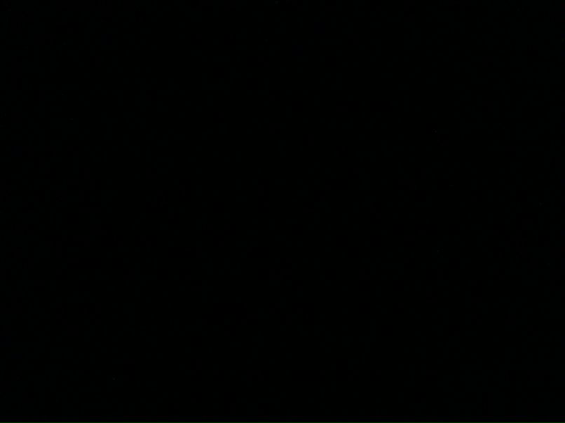 Дарья Орлова | Москва