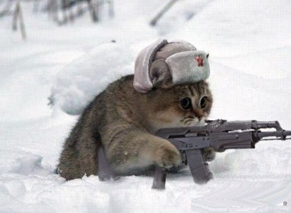 Андрей Кузнецов | Петрозаводск