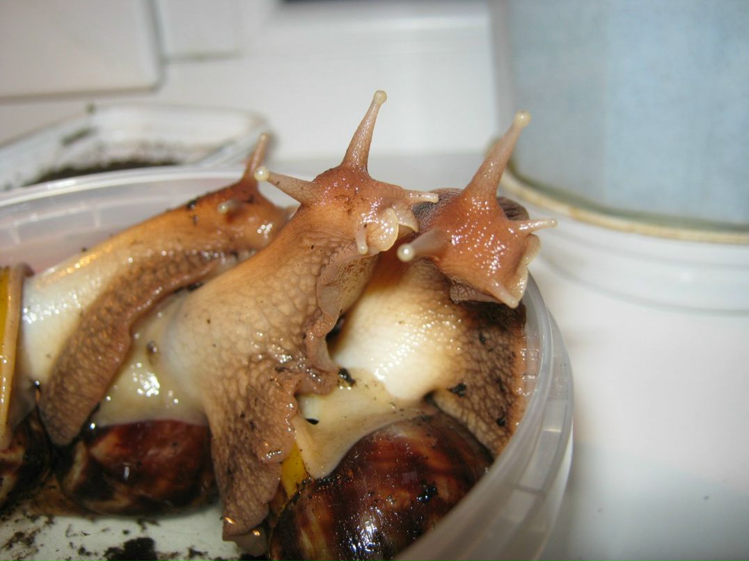 Наталья Загуляева | 