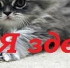 №24, Кристина Кравченко, 28 лет, Одесса №24, Кристина Кравченко, 28 лет, Одесса